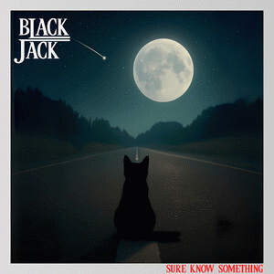 Black Jack : Sure Know Something